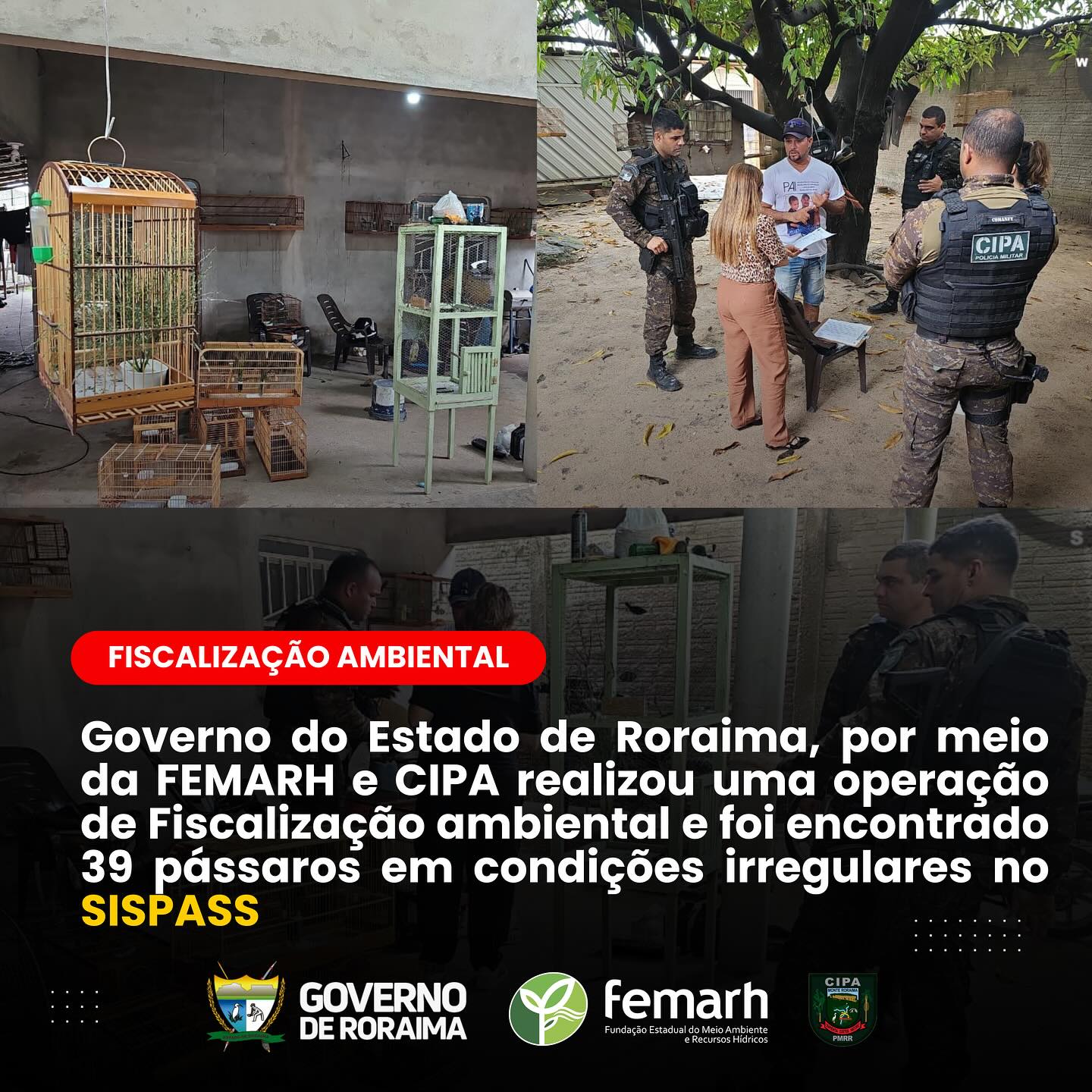 Imagem em Destaque